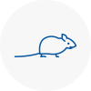 Mice Exterminators In Abergavenny